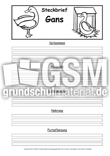 Steckbriefvorlage-Gans.pdf